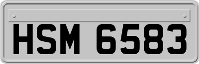 HSM6583