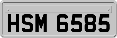 HSM6585