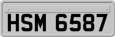 HSM6587