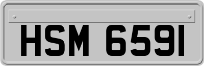 HSM6591