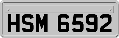 HSM6592