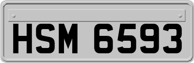 HSM6593