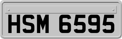 HSM6595