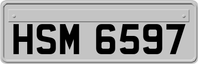 HSM6597
