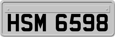 HSM6598