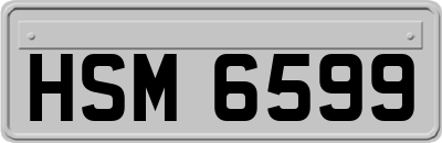 HSM6599