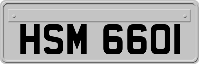 HSM6601