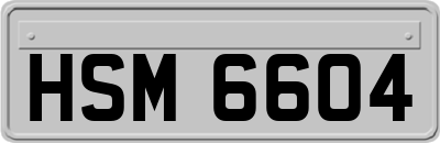 HSM6604