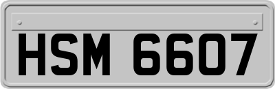 HSM6607