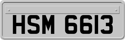 HSM6613