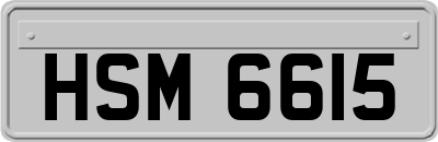 HSM6615