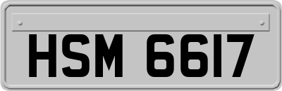 HSM6617