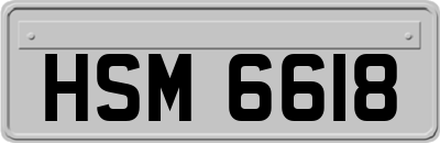 HSM6618