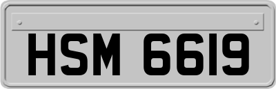 HSM6619