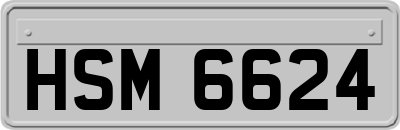 HSM6624