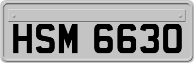 HSM6630