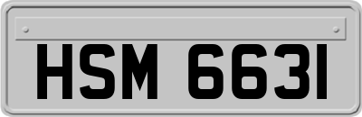 HSM6631