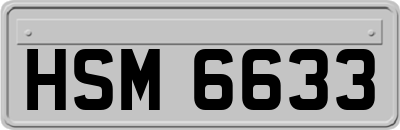 HSM6633