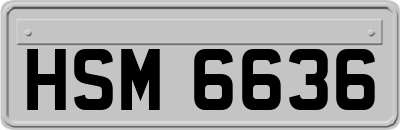 HSM6636