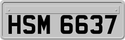HSM6637