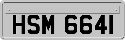 HSM6641