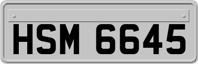 HSM6645