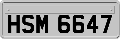 HSM6647