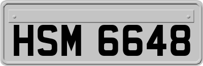 HSM6648