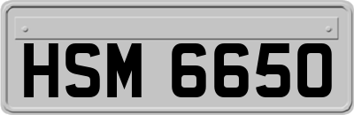 HSM6650