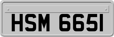 HSM6651