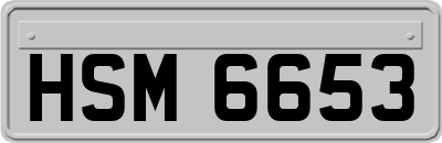 HSM6653