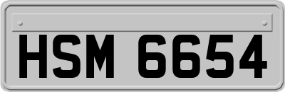 HSM6654