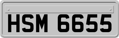 HSM6655