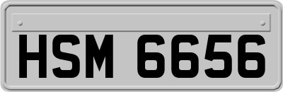 HSM6656
