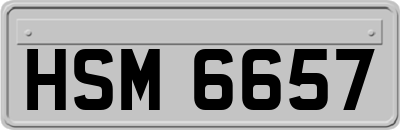 HSM6657
