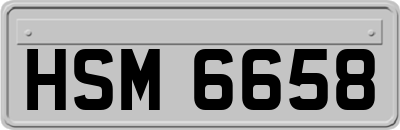 HSM6658
