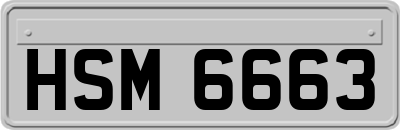 HSM6663