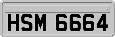 HSM6664