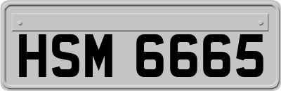 HSM6665