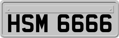 HSM6666