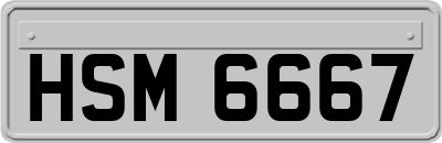 HSM6667