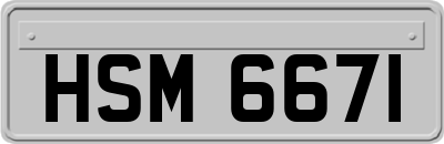 HSM6671