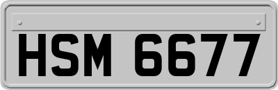 HSM6677