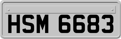 HSM6683