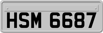 HSM6687