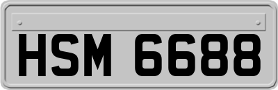HSM6688
