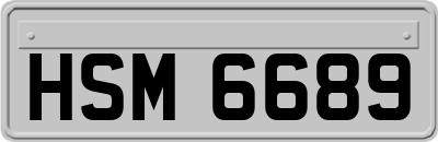 HSM6689