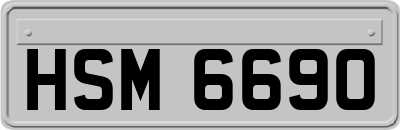 HSM6690