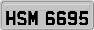 HSM6695