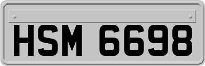 HSM6698